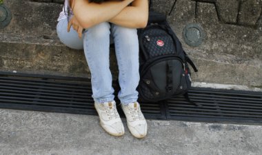 Sistema integrado sobre violência nas escolas da rede municipal  de Belo Horizonte já é lei