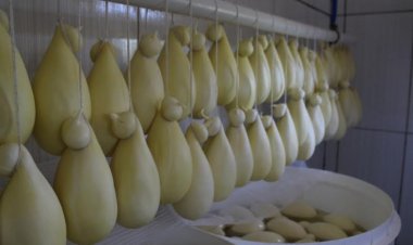 Queijo Cabacinha passa a ser patrimônio cultural e imaterial de Minas