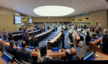 Minas Gerais é o único estado da América do Sul a participar da Cúpula de Ação Climática da ONU, em Nova Iorque