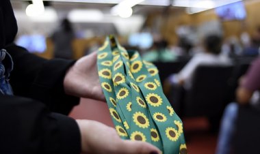 Cordão de girassol é adotado como símbolo oficial de deficiências ocultas